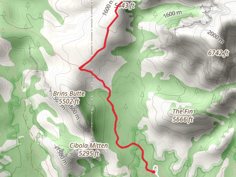 Brins Mesa Trail
