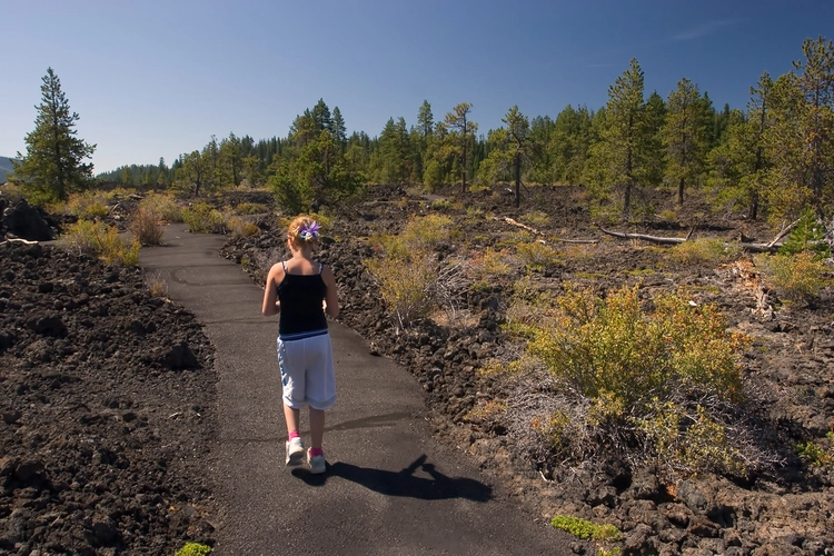 Lava Cast Forest Trail