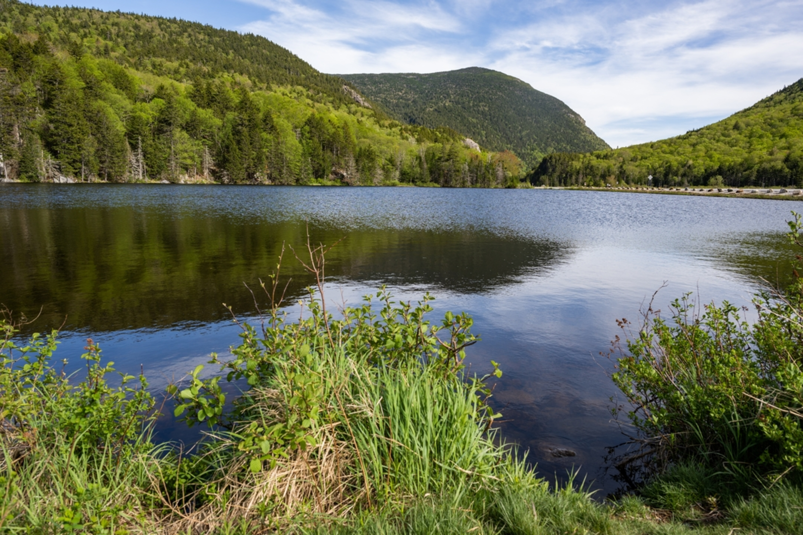 An image depicting the trail Mount Pierce, Mount Jackson and Mount Webster Loop - Crawford and its surrounding area.