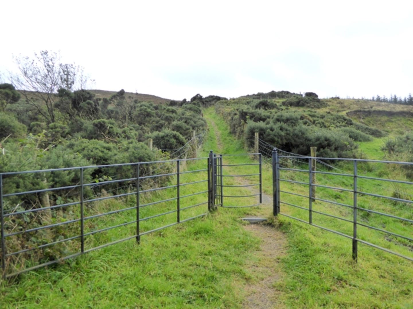 An image depicting the trail Bracklin Loop Trail and its surrounding area.