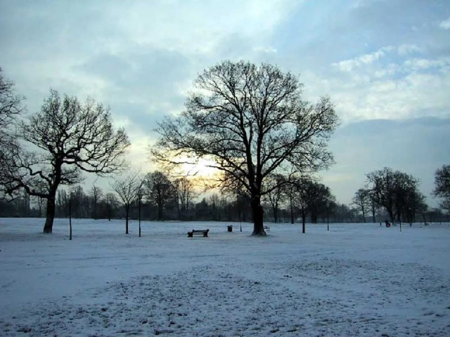 An image depicting the trail Worden Park Loop and its surrounding area.