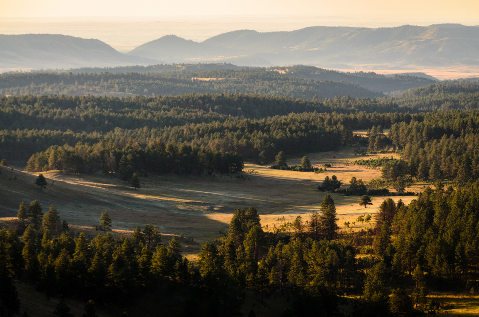 An image depicting the trail Elk Mountain Nature Loop Trail and its surrounding area.