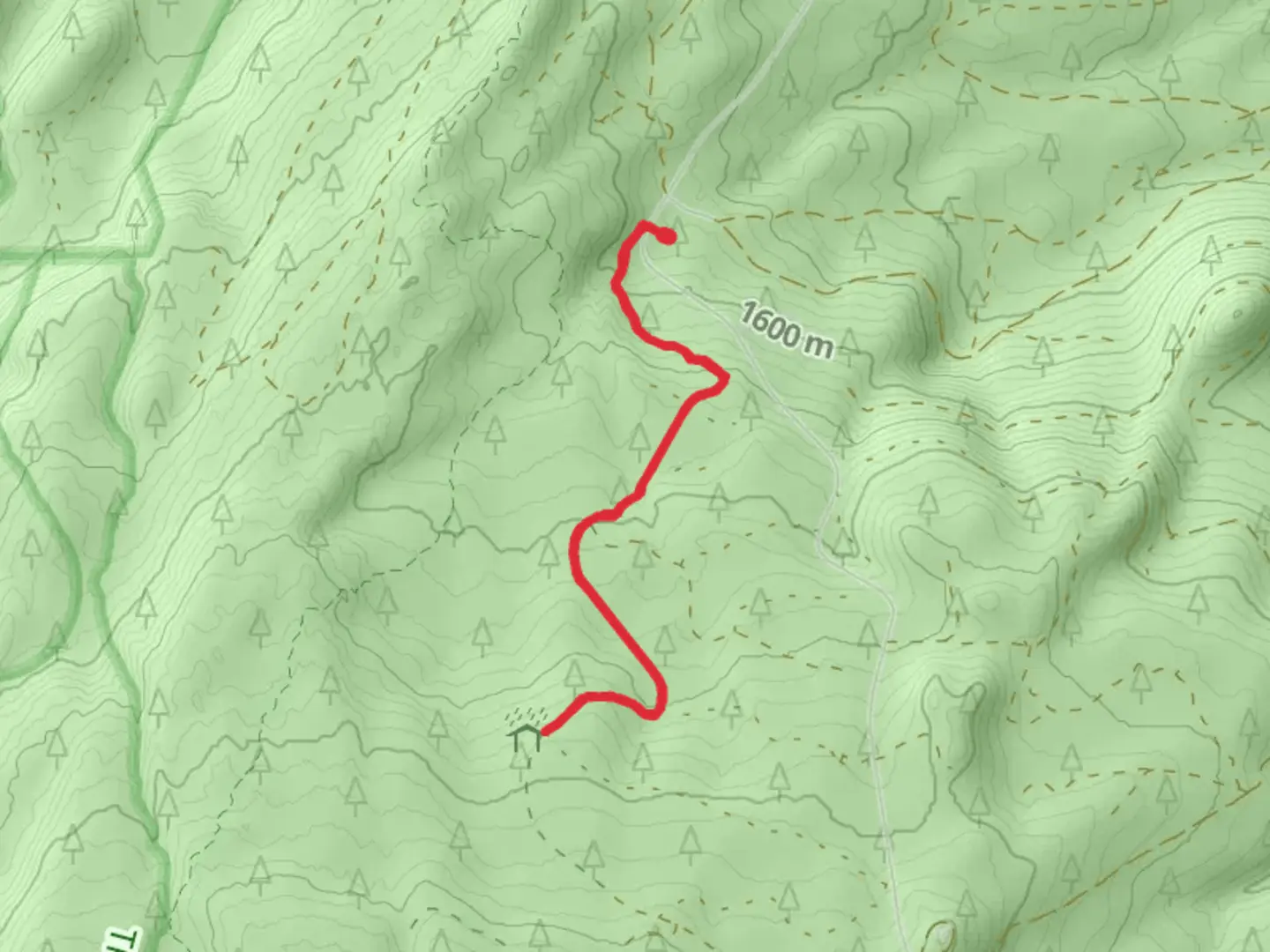 An image depicting the trail Werren's XC Walk and its surrounding area.
