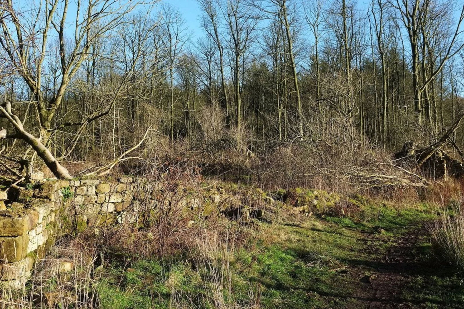 An image depicting the trail Osmotherley Loop and its surrounding area.