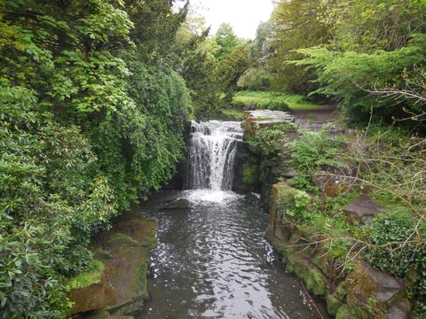 Jesmond Dene Loop