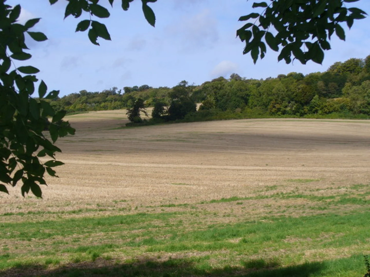 An image depicting the trail Silver Wood and River Wey via Pilgrim's Way and its surrounding area.