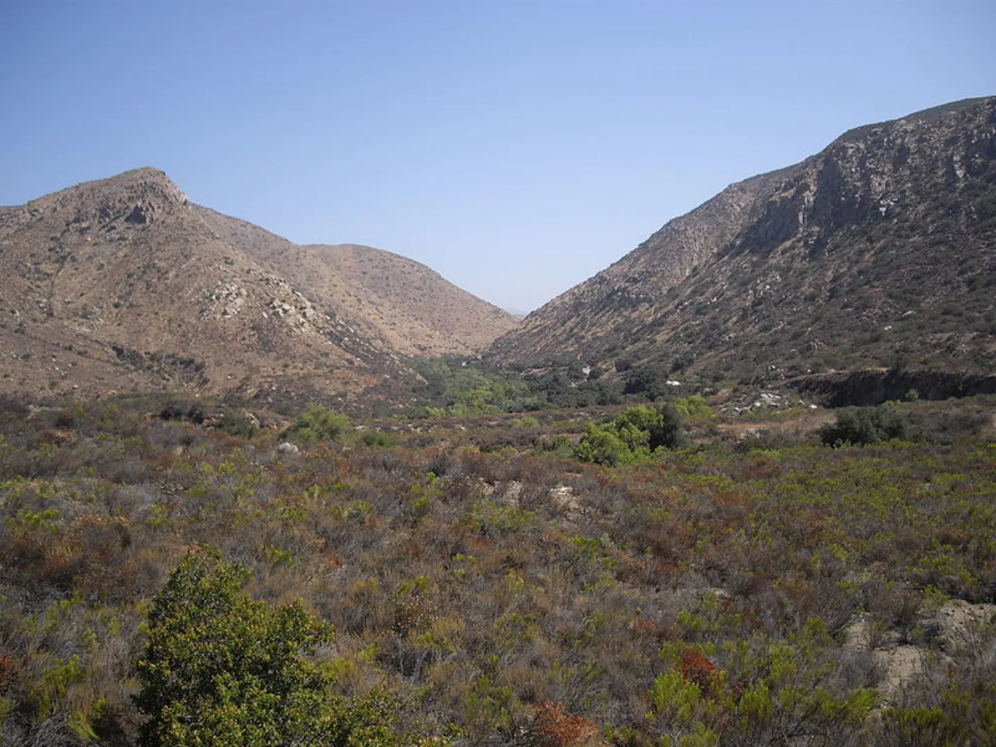 An image depicting the trail Visitor Center Loop Trail and its surrounding area.