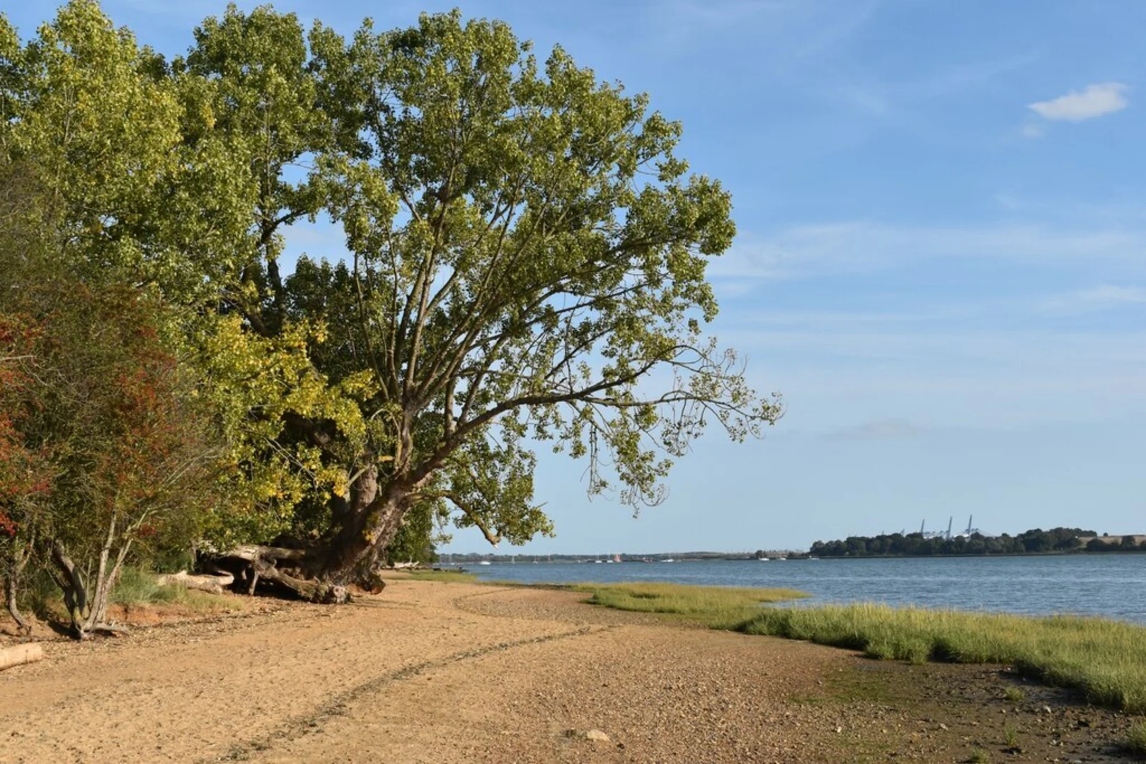 An image depicting the trail Nacton Shores and its surrounding area.