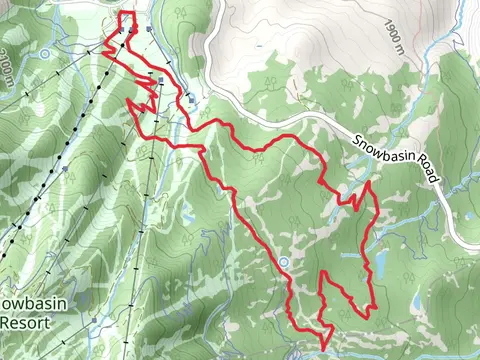 Needles and Snowbasin Trail