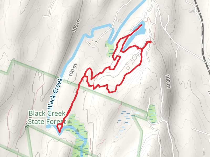 Black Creek State Forest