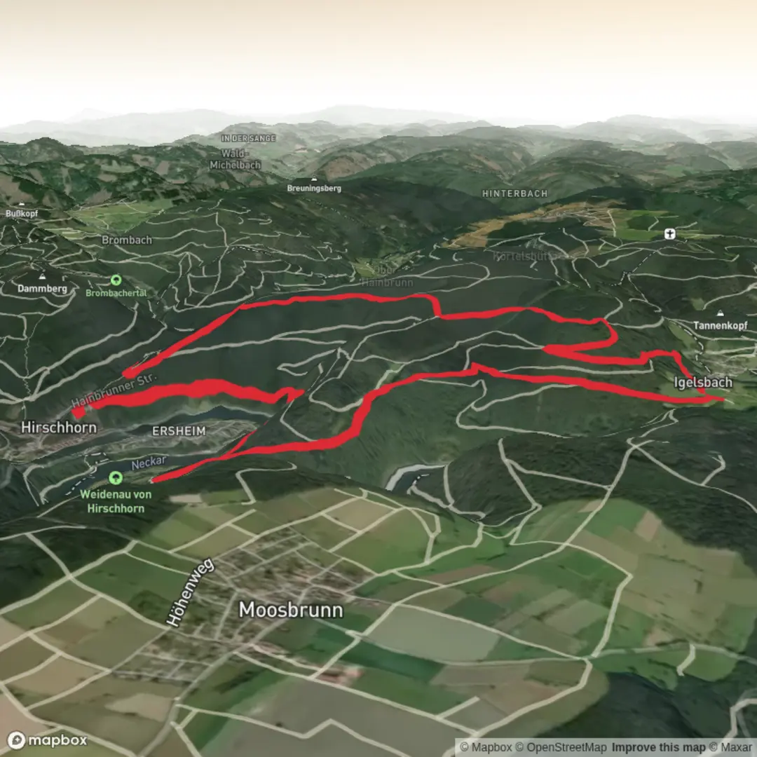 An image depicting the trail Odenwald bei Hirschhorn - Juli 21 and its surrounding area.