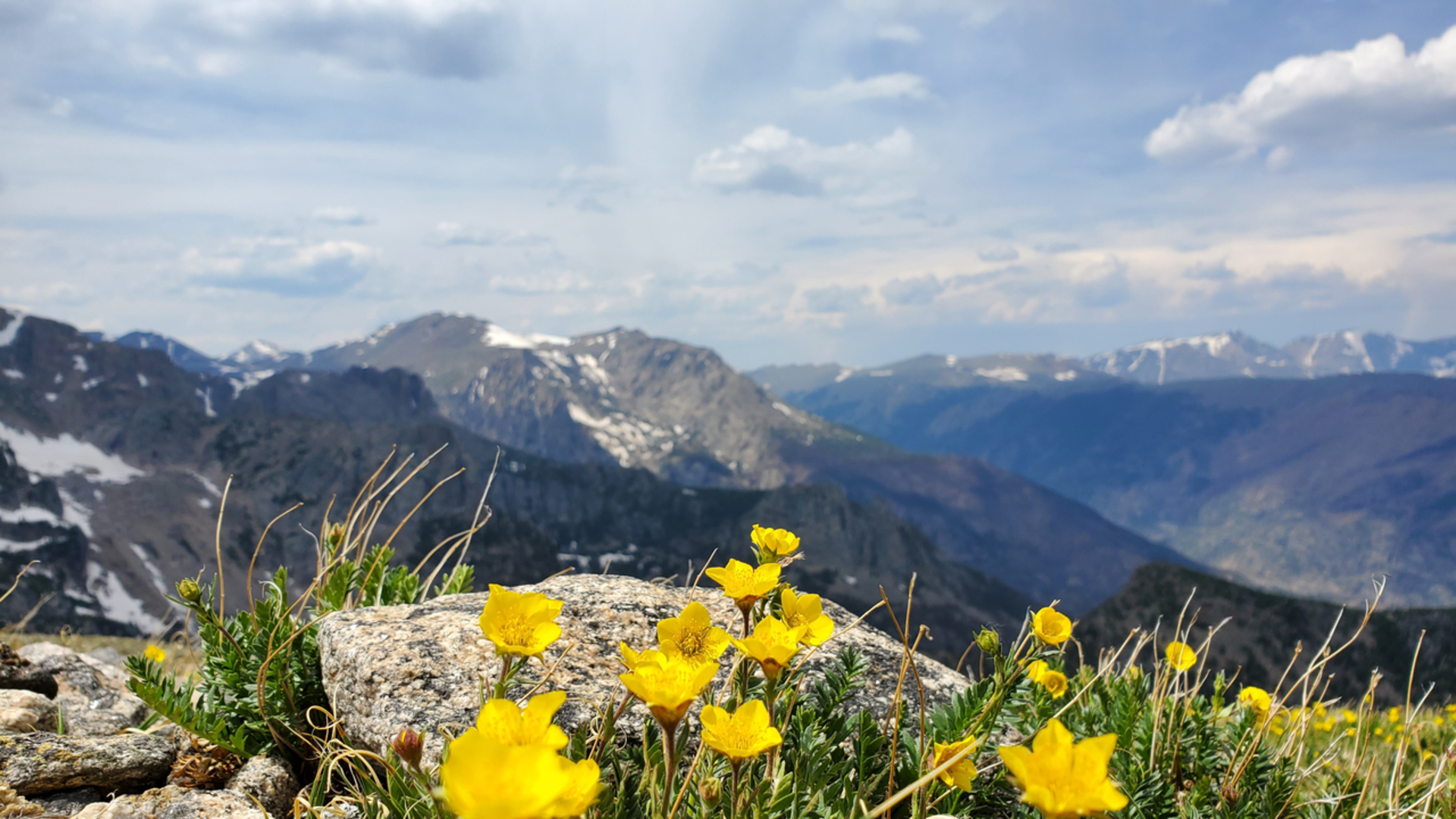 An image depicting the trail Hallett Peak Trail and its surrounding area.