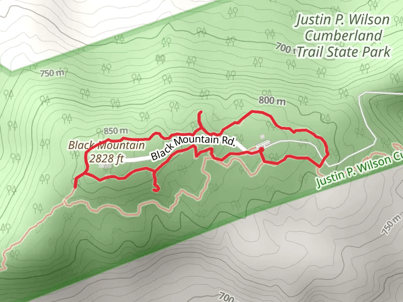 Grassy Cove Trail and Black Mountain North Loop