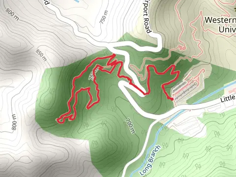 Little Savannah and Gribble Gap Loop