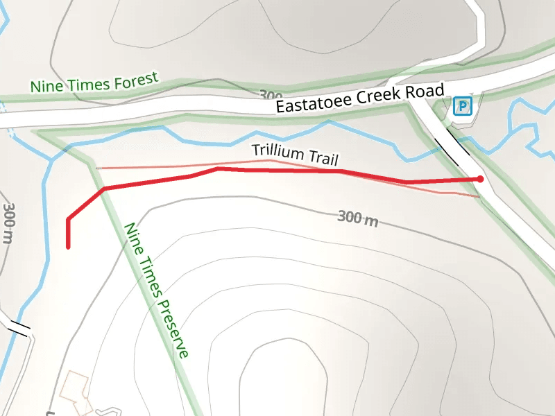 Little Eastatoe Creek