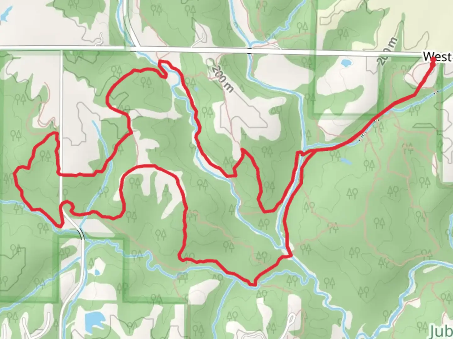 An image depicting the trail Jubilee Creek Loop and its surrounding area.