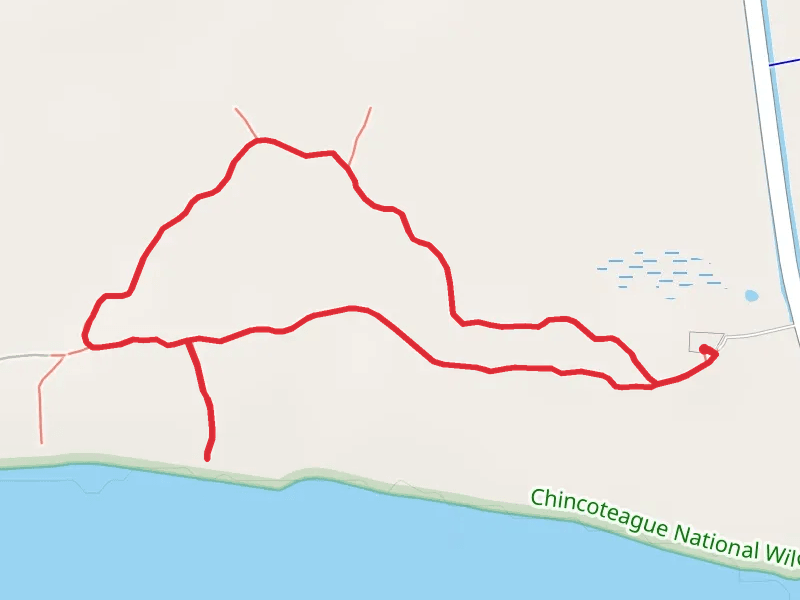 Bivalve and Woodland Loop Trail