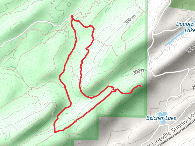 King's Chair Overlook,Blue and Red Road Loop
