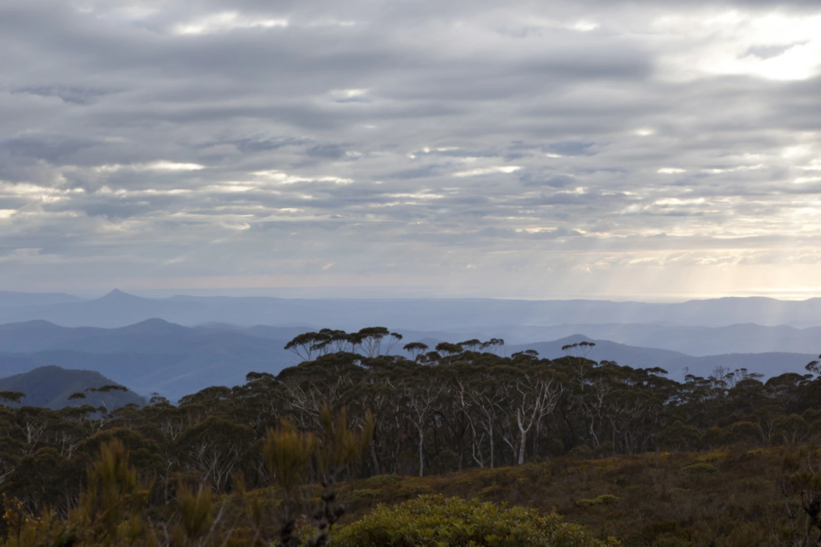 An image depicting the trail Mount Budawang Trail and its surrounding area.