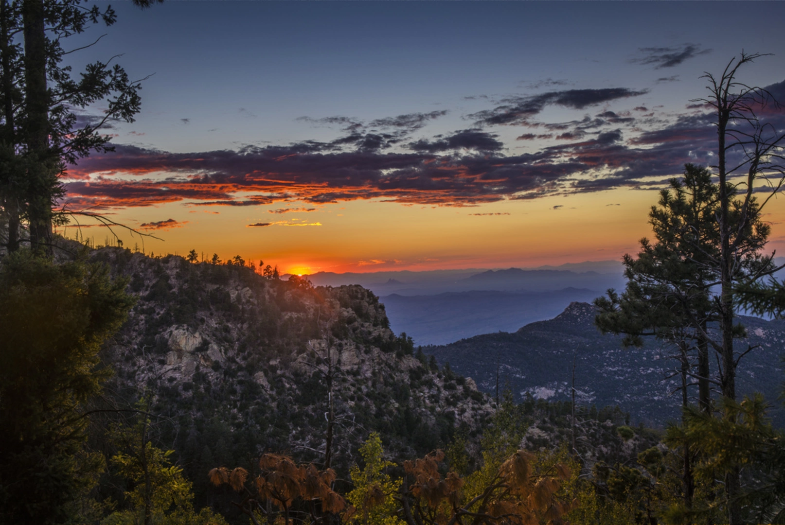 An image depicting the trail Oracle Ridge Trail and its surrounding area.