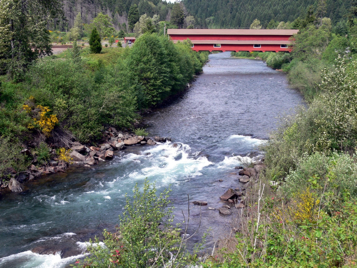 An image depicting the trail Westfir Tie Trail and its surrounding area.