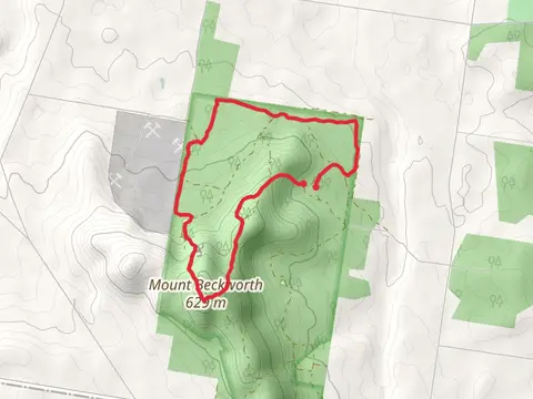 Mount Beckworth Trail - Northern Section