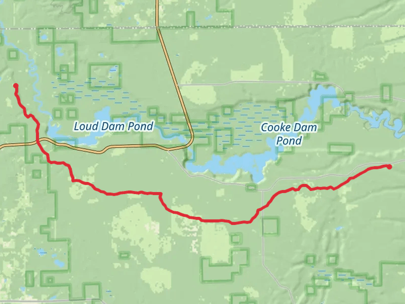 Shore to Shore Trail