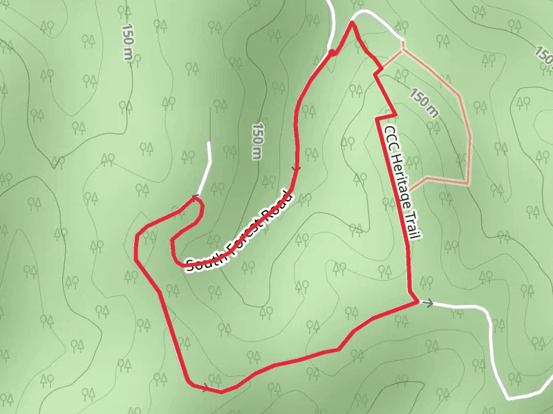 South Forest Road Loop