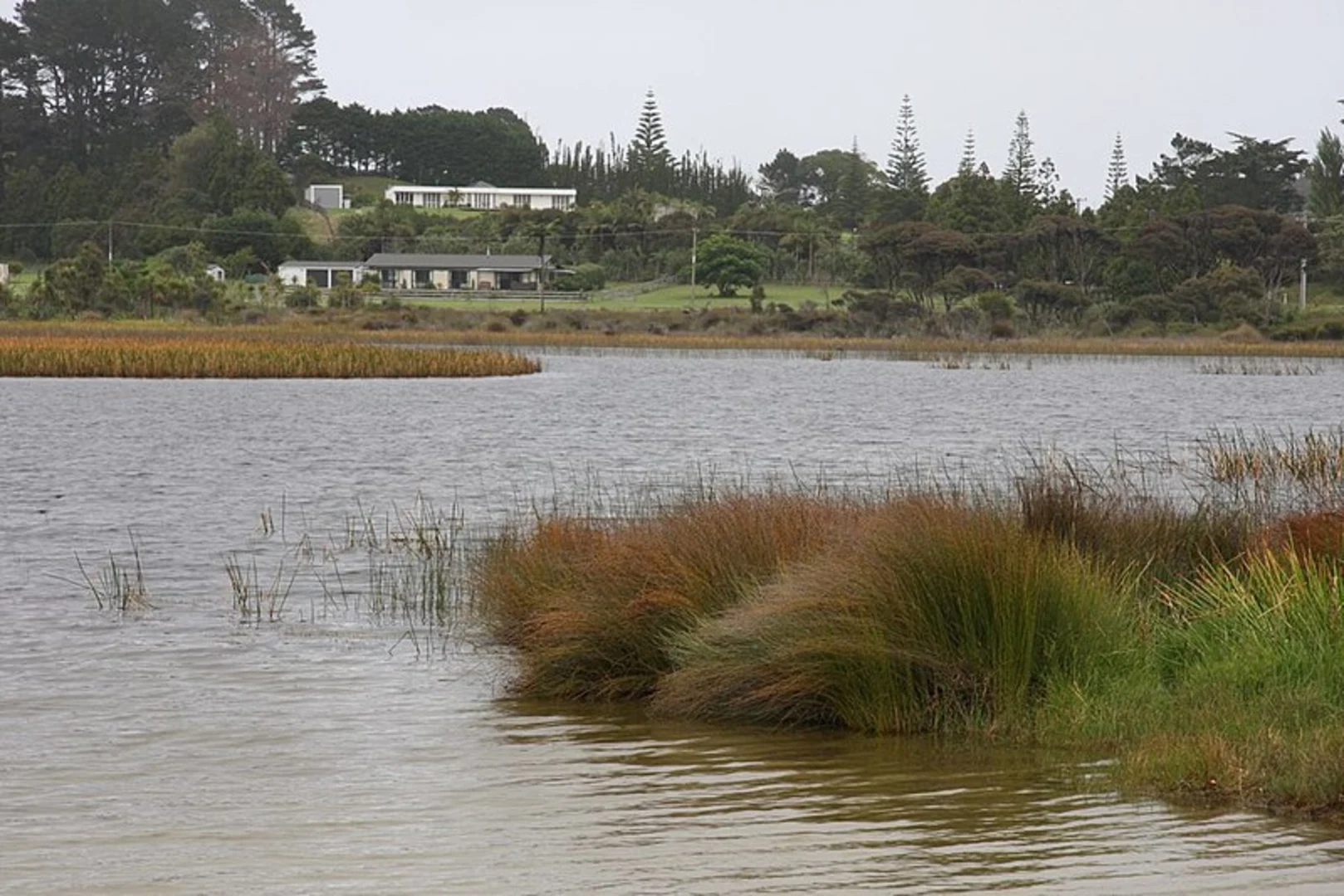 An image depicting the trail Lake Ngatu Track and its surrounding area.