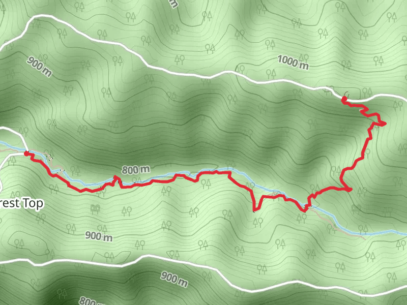 Brindle Creek Track