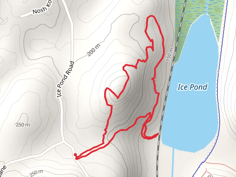 Ice Pond Loop