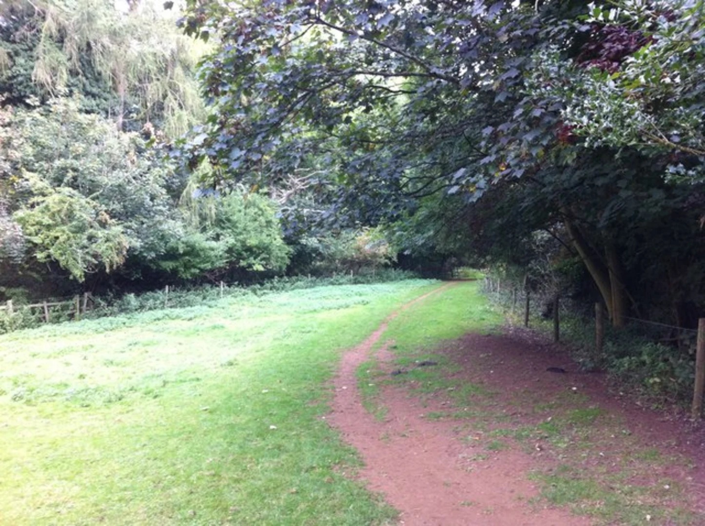 An image depicting the trail Harlestone Park Loop and its surrounding area.