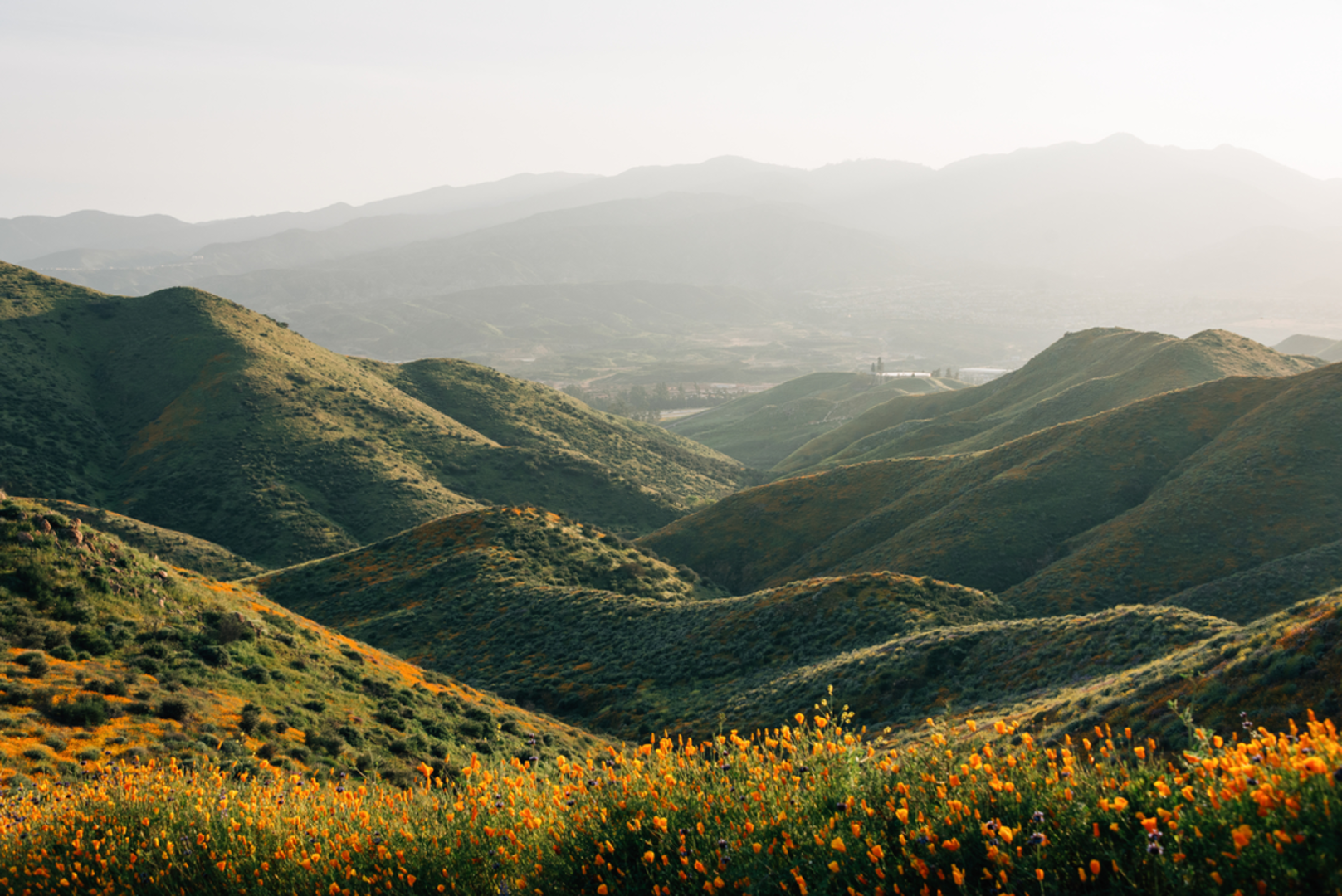 An image depicting the trail East Horsethief Trail and its surrounding area.