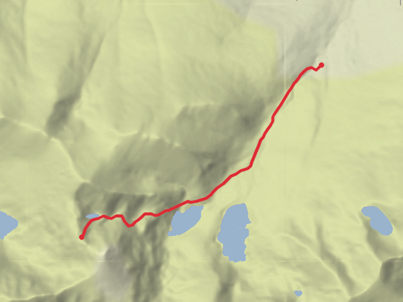 Killarney National Park, Macgillycuddy's Reeks and Caragh River Catchment SAC - Aug 6 thumbnail