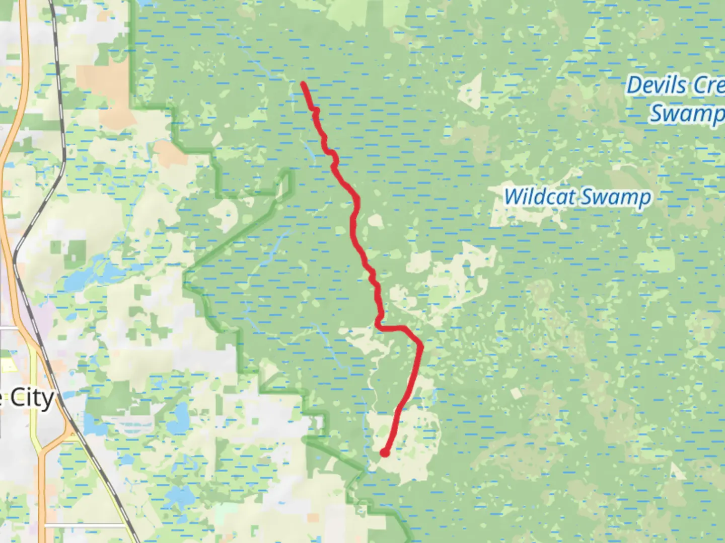 An image depicting the trail Florida National Scenic Trail from Sumner Lake Road and its surrounding area.