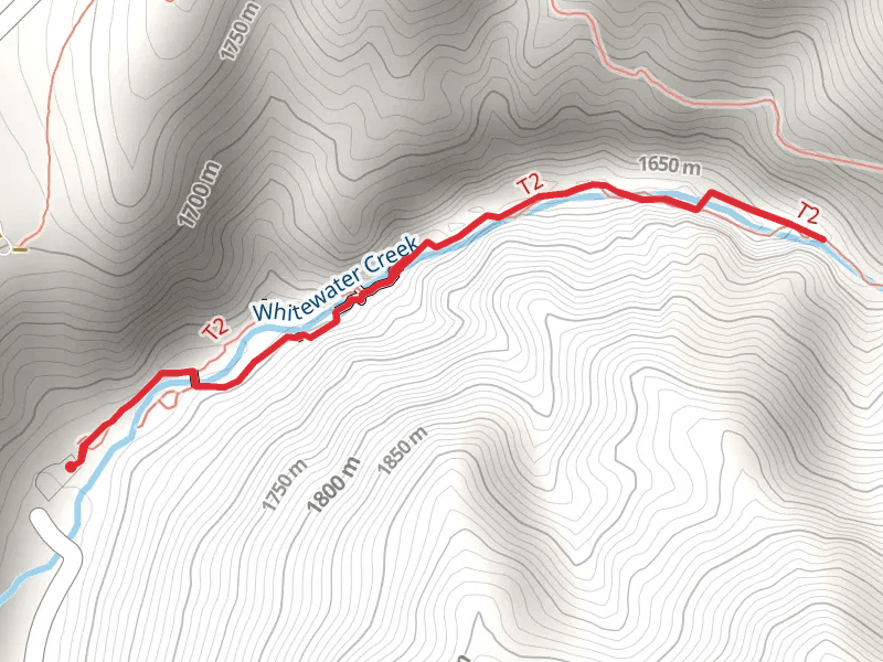 Whitewater Creek via Catwalk National Recreation Trail