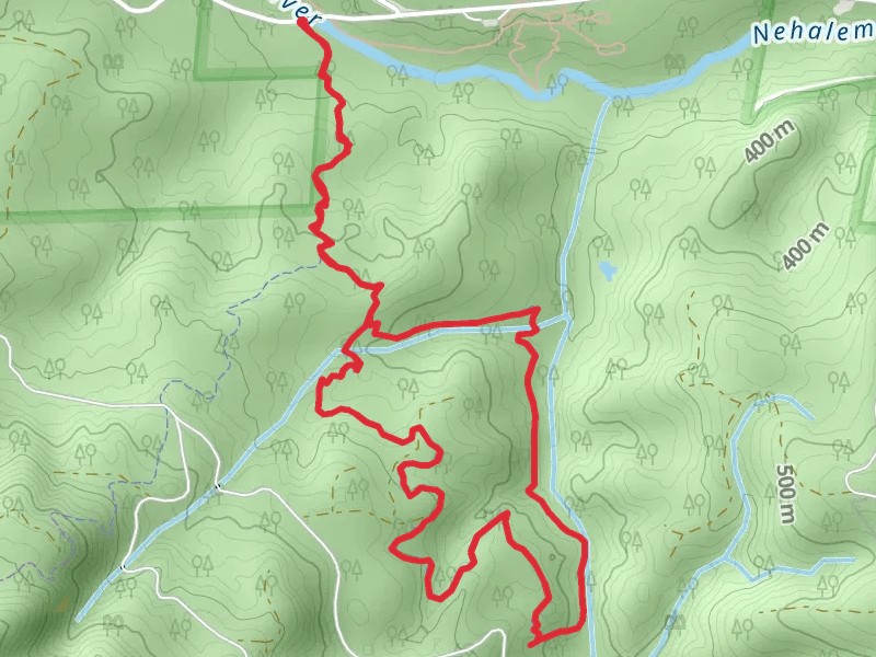 Gales Creek Trail and Step Creek Trail Loop