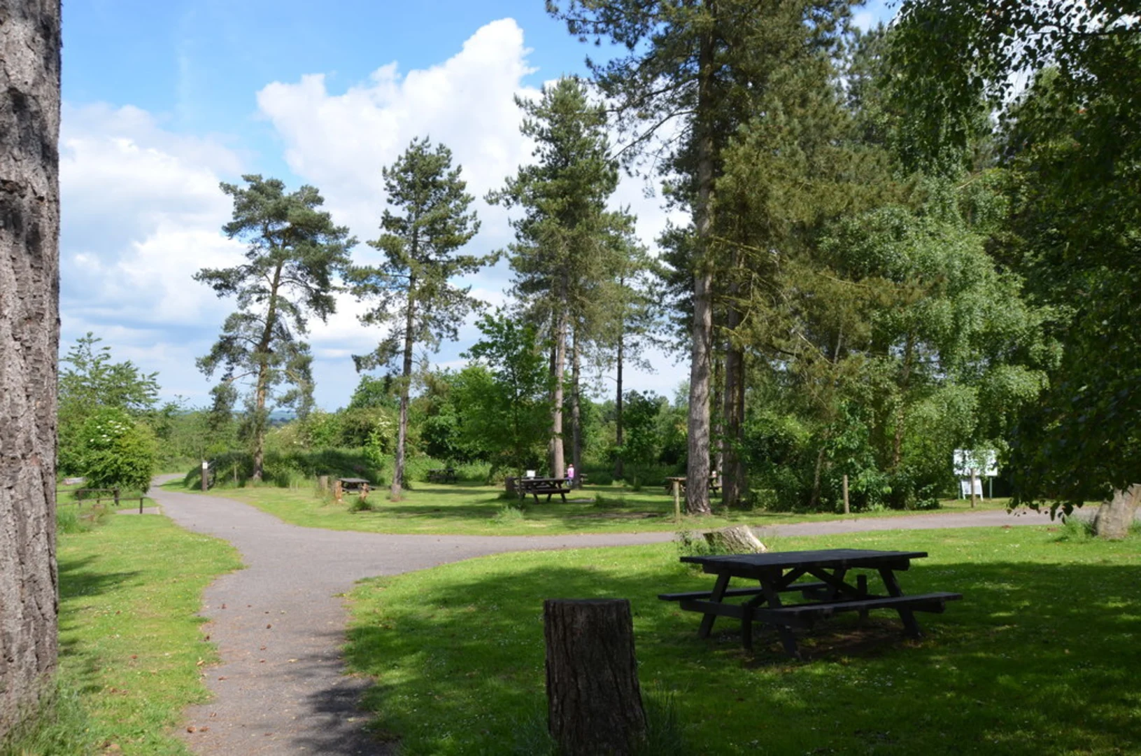 An image depicting the trail Snipe Dales Country Park and its surrounding area.