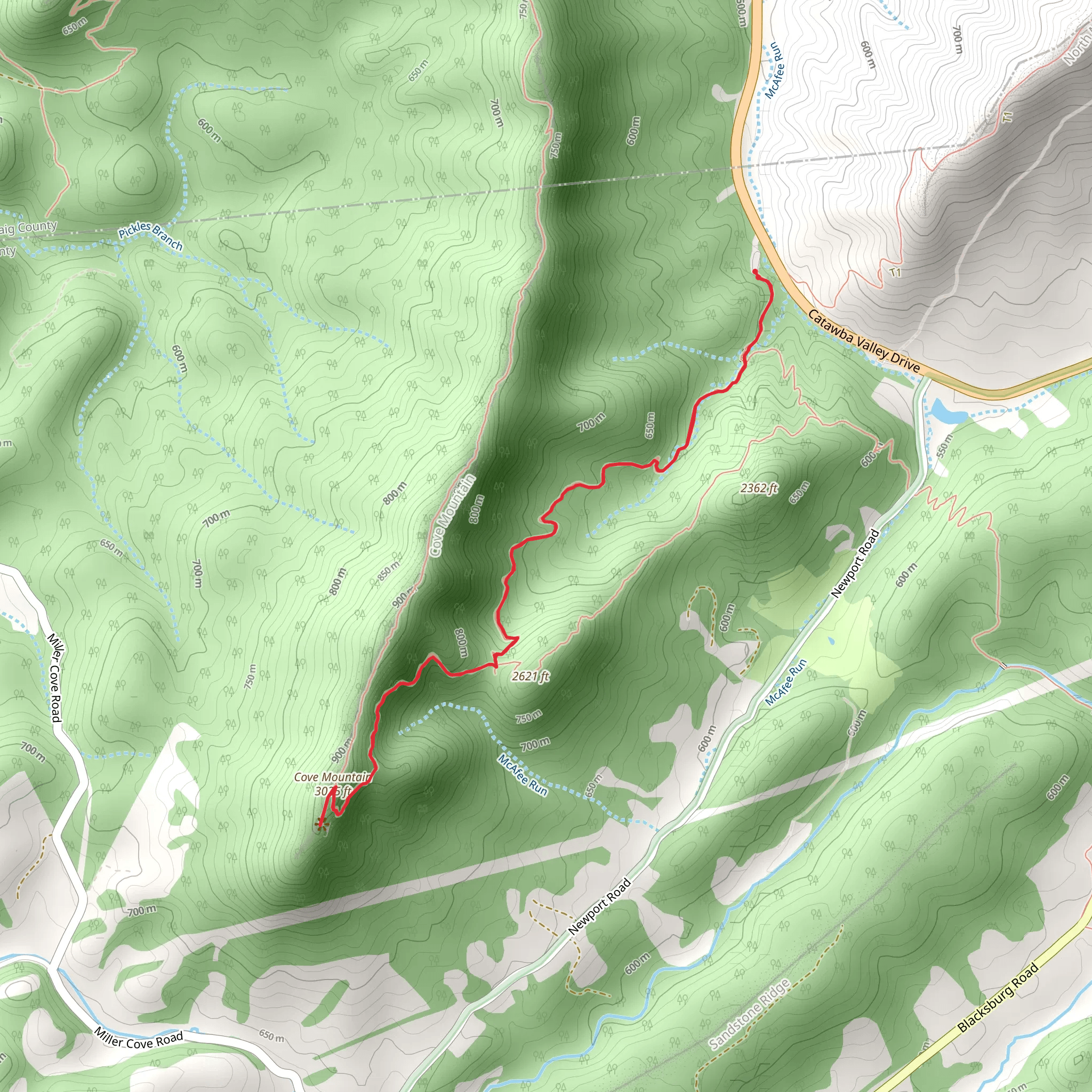 Cove Mountain via Dragon's Tooth Side Trail mobile static map