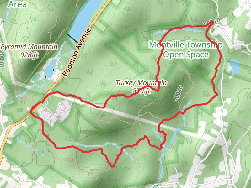 Turkey Mountain Loop via Yellow and Red Trail