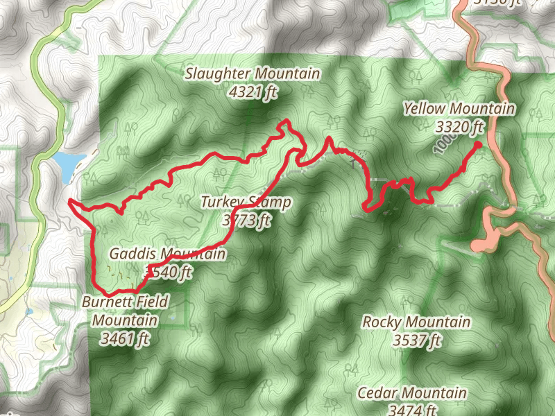 Blood Mountain and Gaddis Mountain via Appalachian Trail and Slaughter Creek Loop Trail