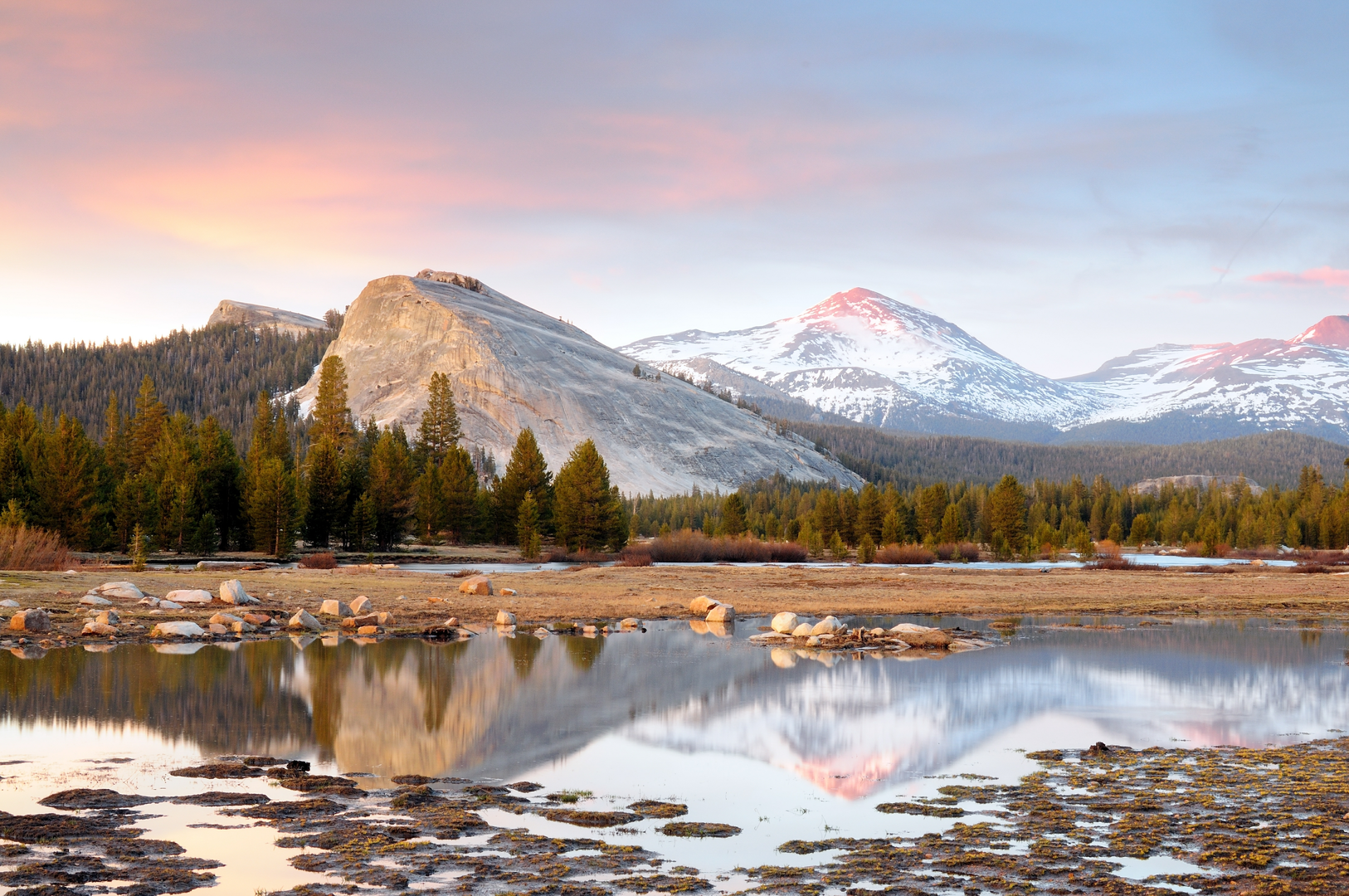 An image depicting the trail Lembert Dome and its surrounding area.