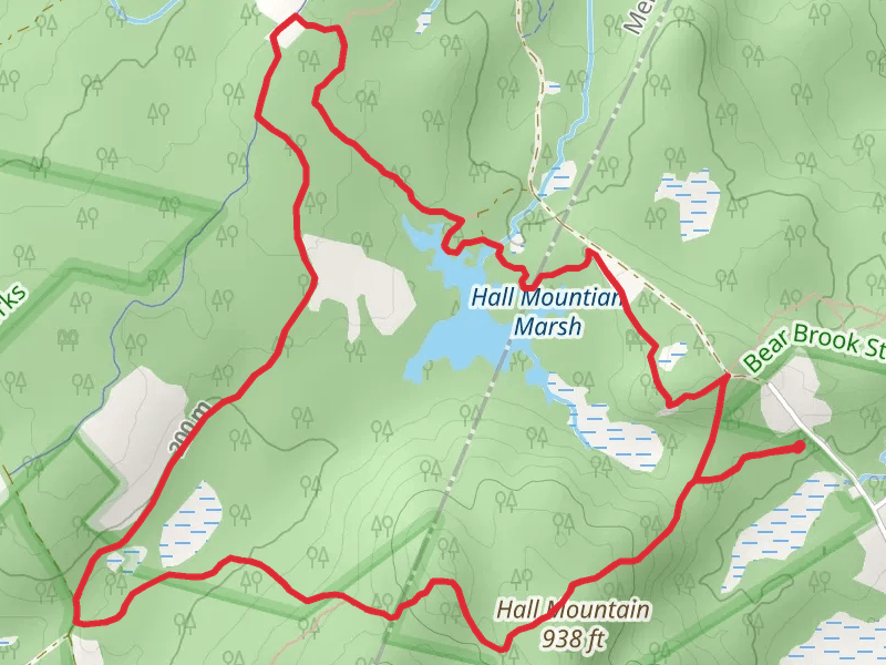 Hall Mountain Marsh Loop