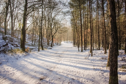 Het Keizand, Loenermark and Heidensklep Loop