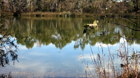 Sacred Ibis Trail