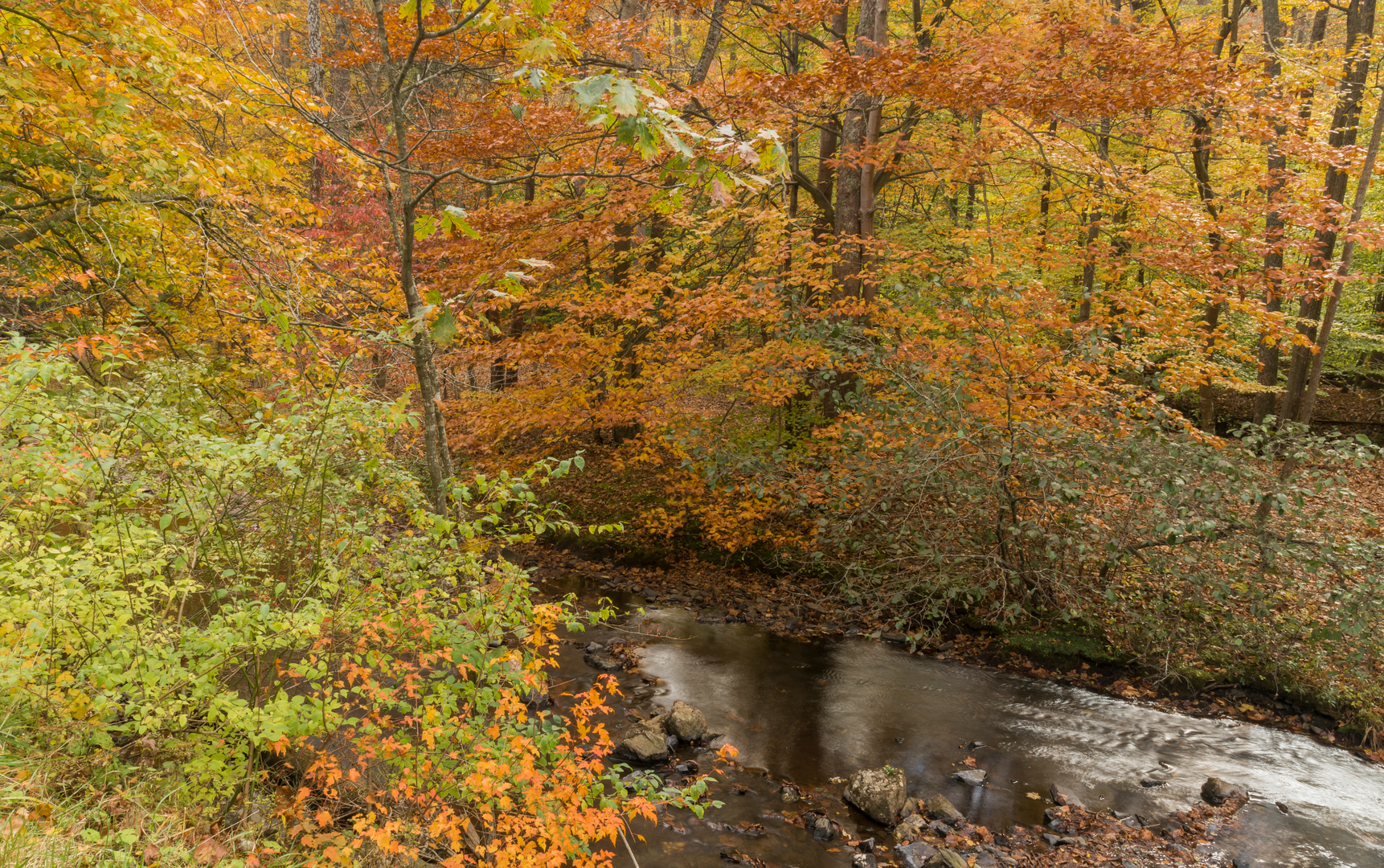An image depicting the trail Owens Creek via Deerfield Nature Trail and its surrounding area.