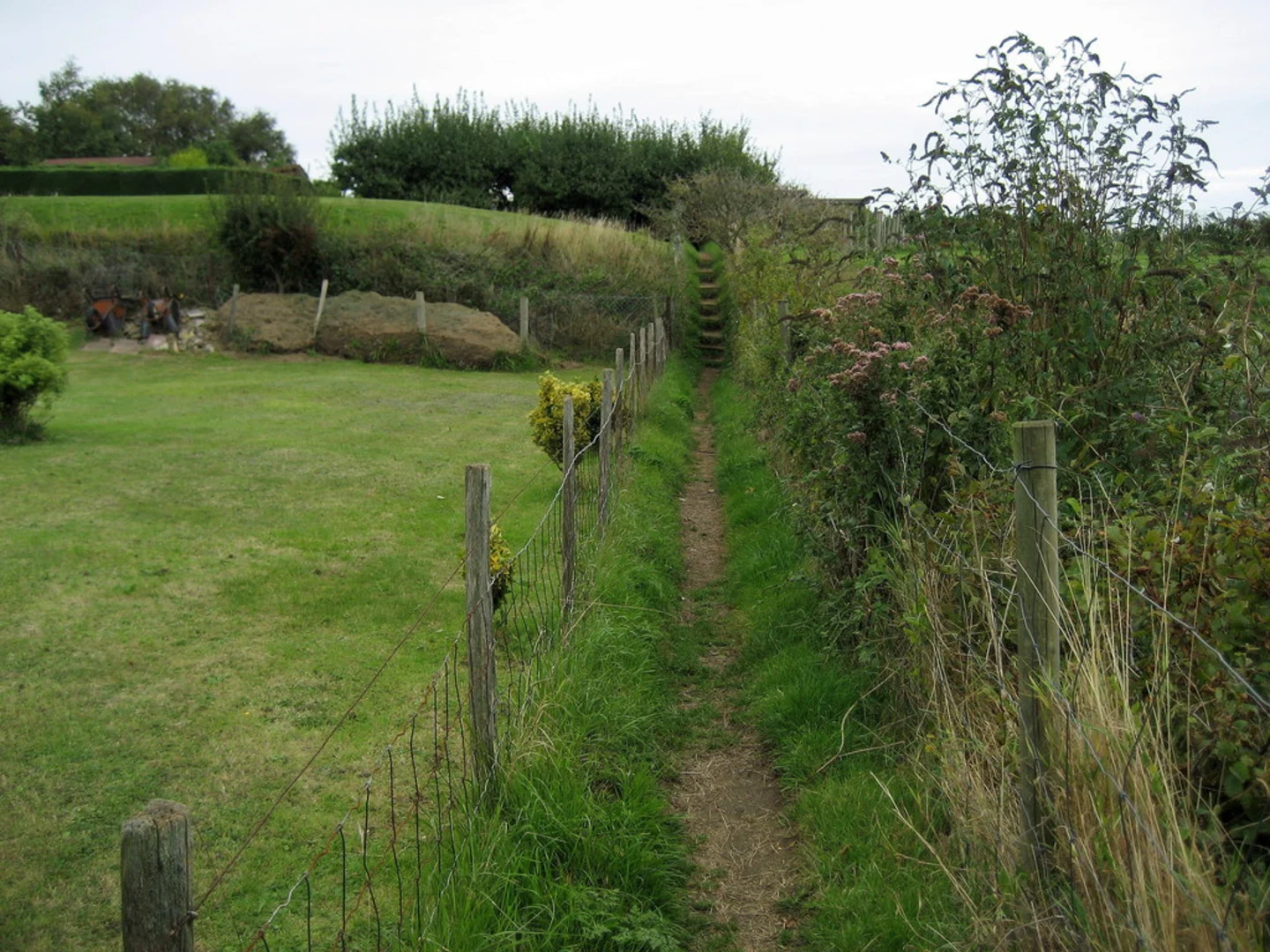 An image depicting the trail The Warren Loop and its surrounding area.