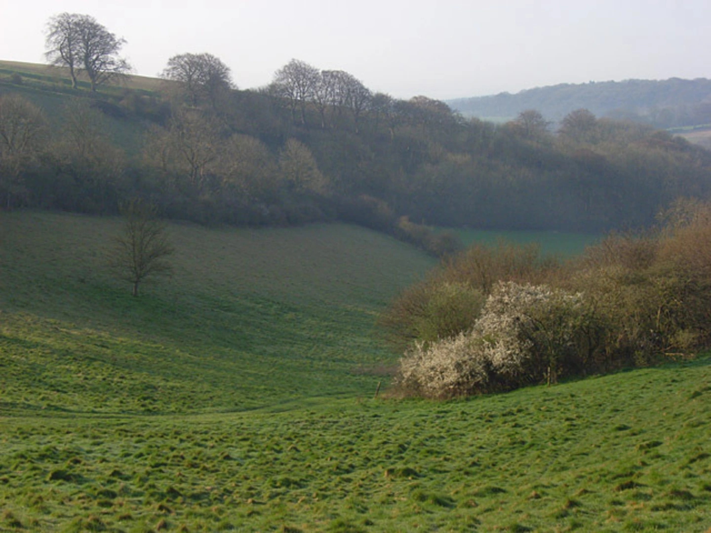 An image depicting the trail Pilot Hill Walk and its surrounding area.