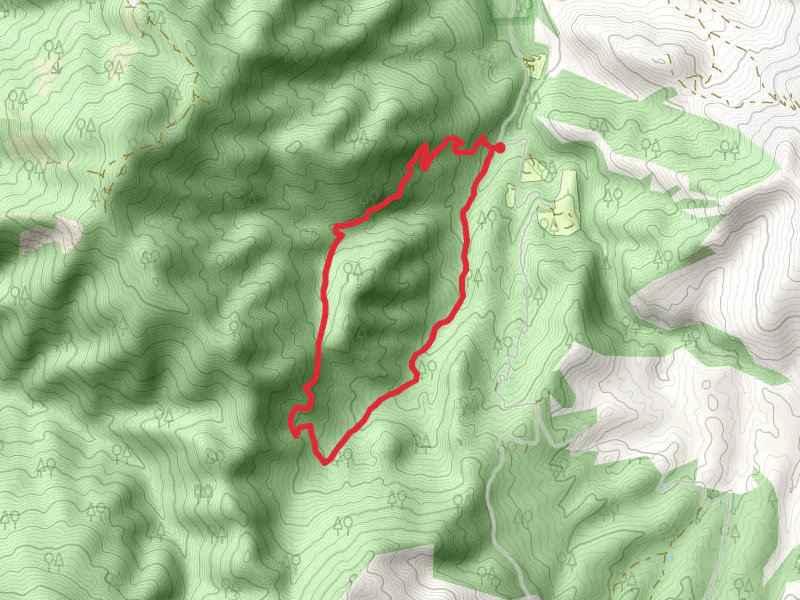 Box Elder Creek Loop