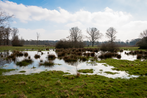 Gemeente and Sallandpad Loop